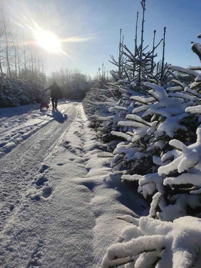 Agroturystyka "Jezioranka" Unichowo Bagian luar foto