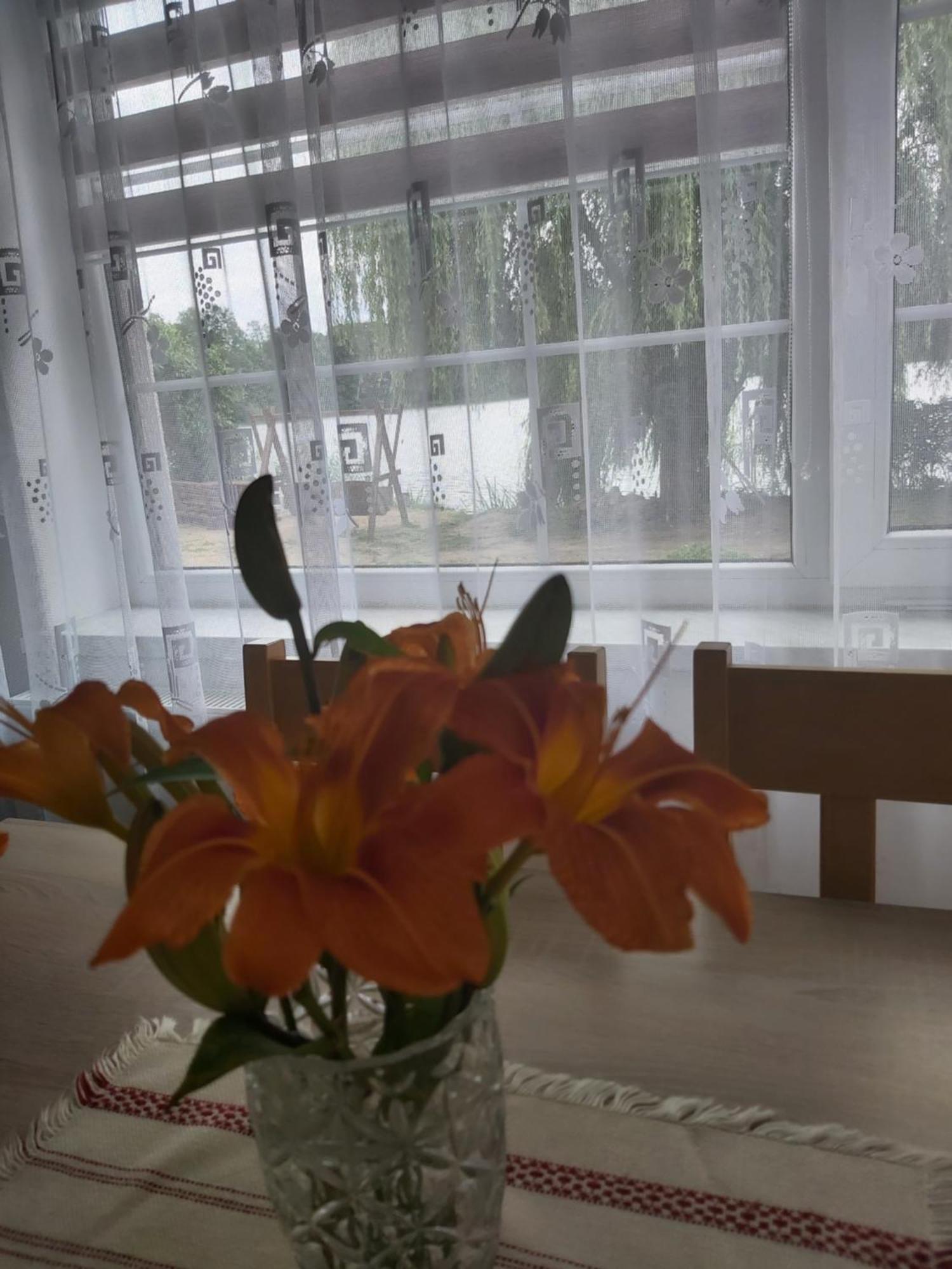 Agroturystyka "Jezioranka" Unichowo Bagian luar foto